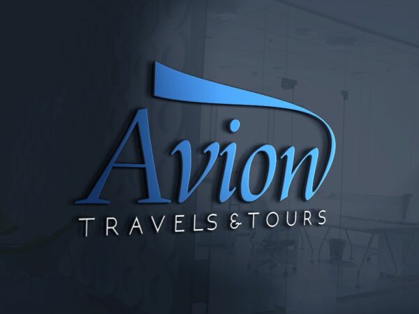 tempAVION-IMG.jpg